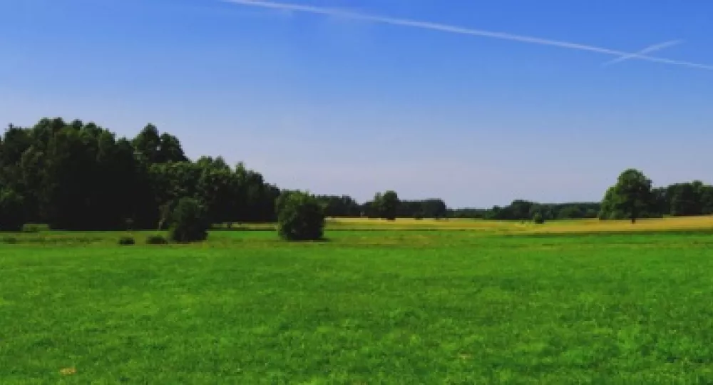 zielone tereny pól i lasów bez śladu ingerencji człowieka