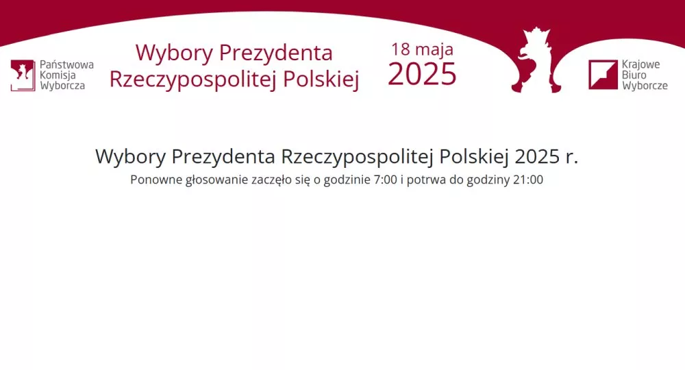 wybory