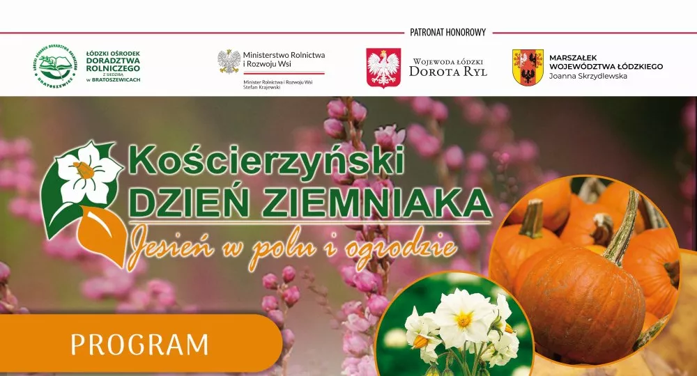 Kościerzyński Dzień Ziemniaka 2025